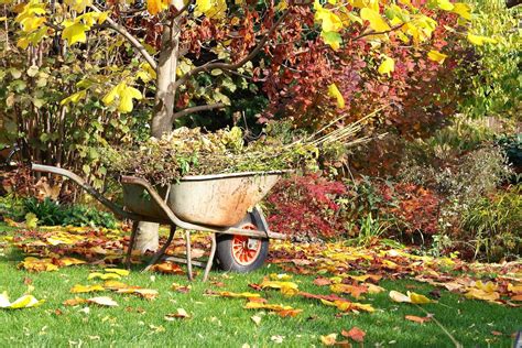 Herbst Garten Ideen: Dinge Zu Tun Im Oktober